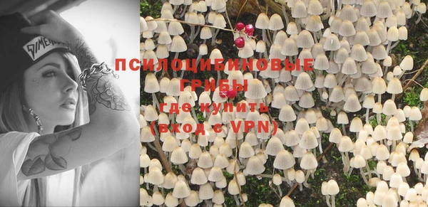 молекула духа Балахна