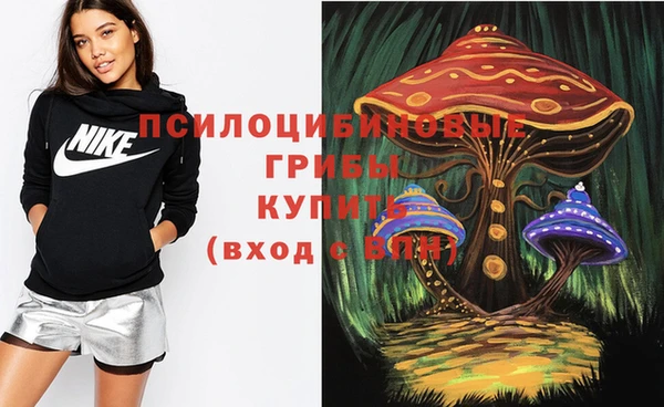 стаф Баксан