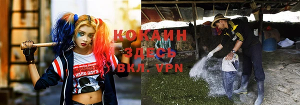 молекула духа Балахна