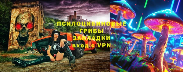 стаф Баксан
